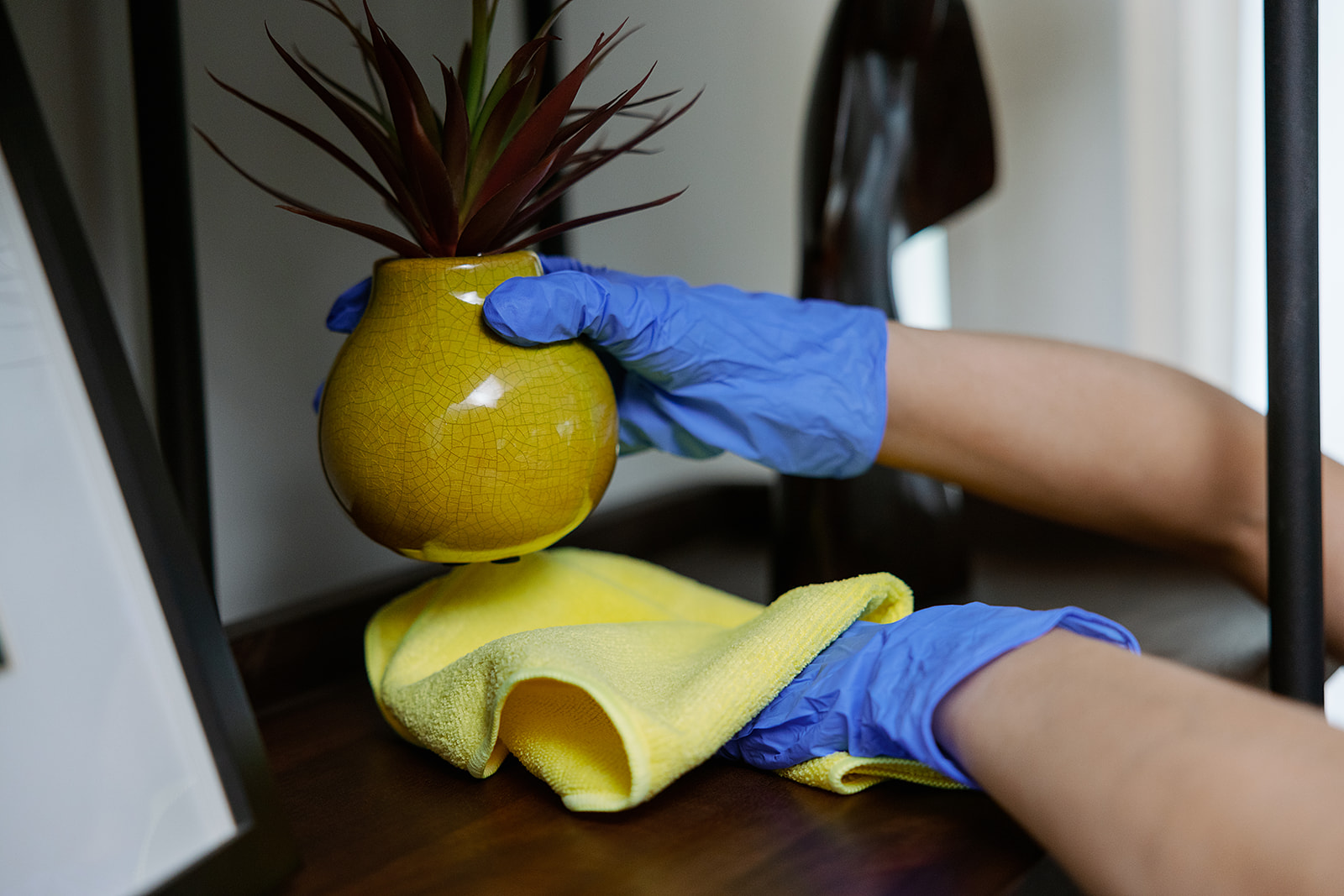 Banner House Cleaning Services in Frisco for Families