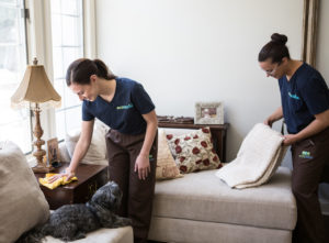 Two maids performing cleaning services in Davidson.