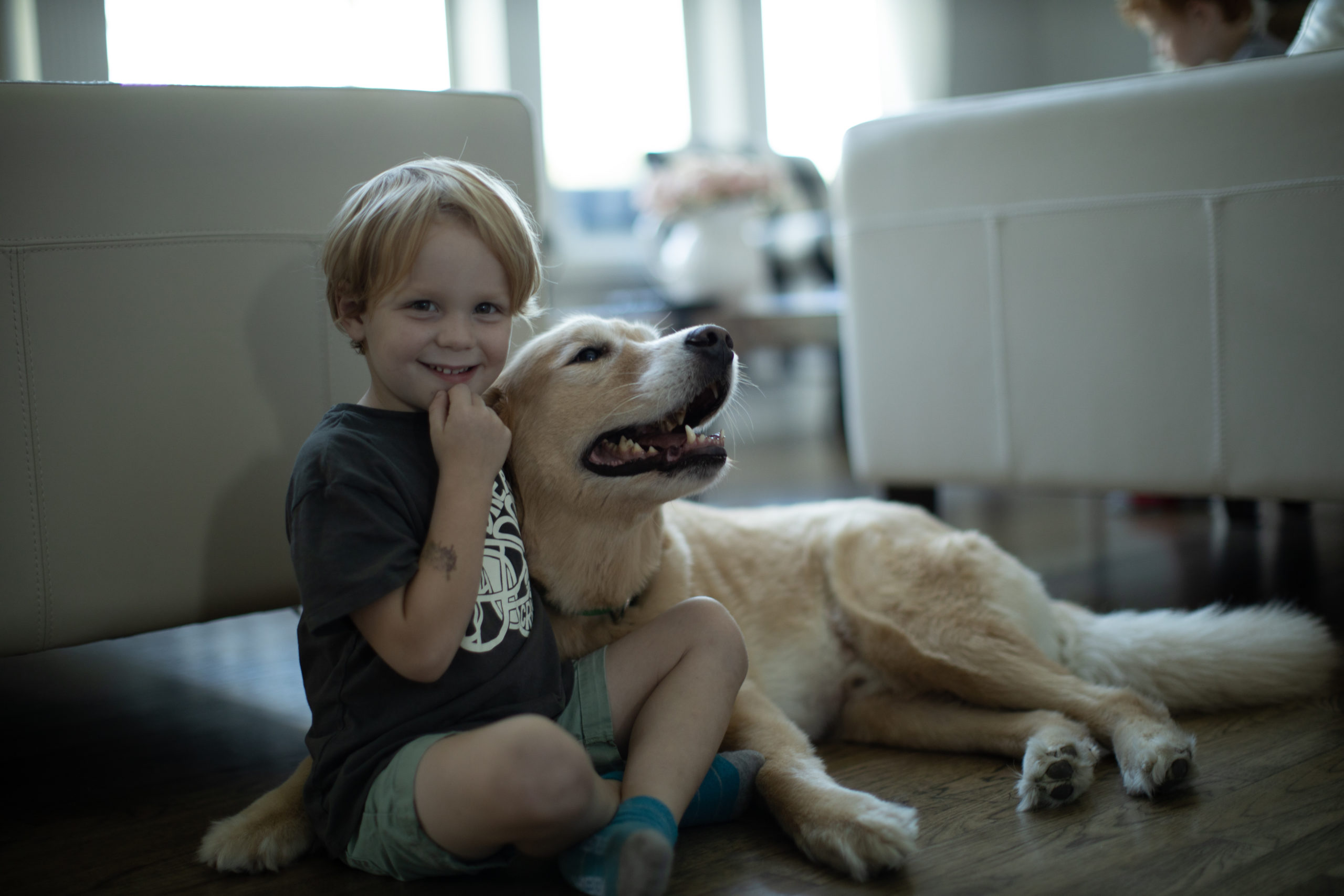 House Cleaning Services in Hackettstown for Families with Pets